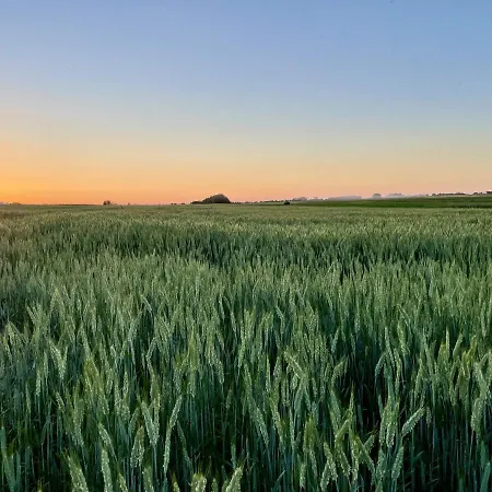 Bed & Breakfast Folwark W Szczerym Polu 3*