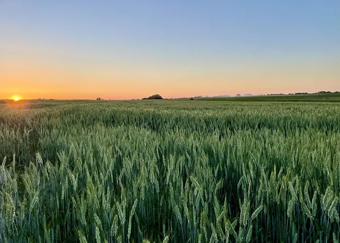 Bed & Breakfast Folwark W Szczerym Polu 3*